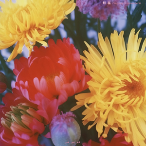 伊人影院永久地址
